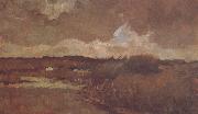 Vincent Van Gogh Marshy Landscape (nn04) oil painting artist